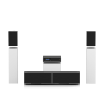 L-Acoustics Hawaii 2.1